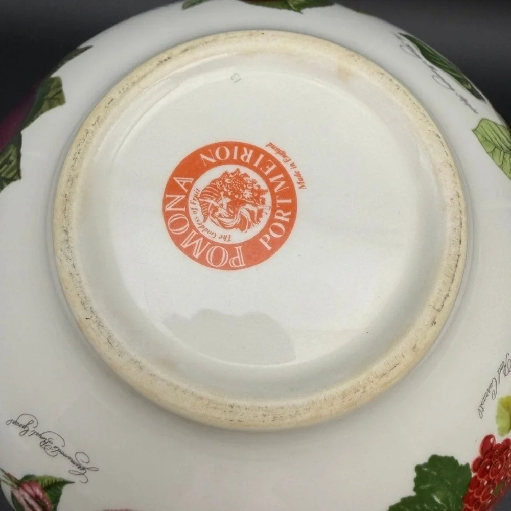 Vtg Portmeirion Pomona Fruit Salad Mixing Serving Bowl 10